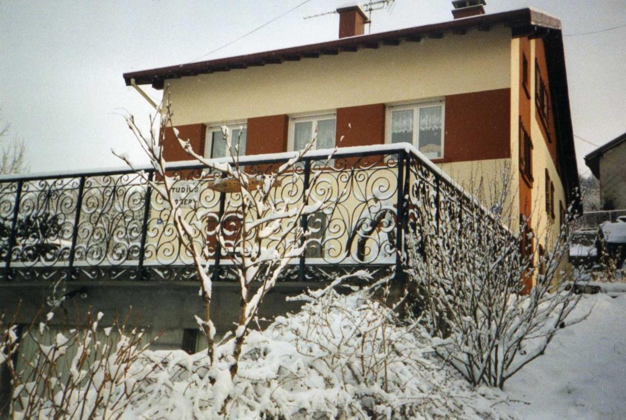 Studio Cosy Avec Vue Sur Lac Et Montagne A Gerardmer 30 M² Eksteriør billede