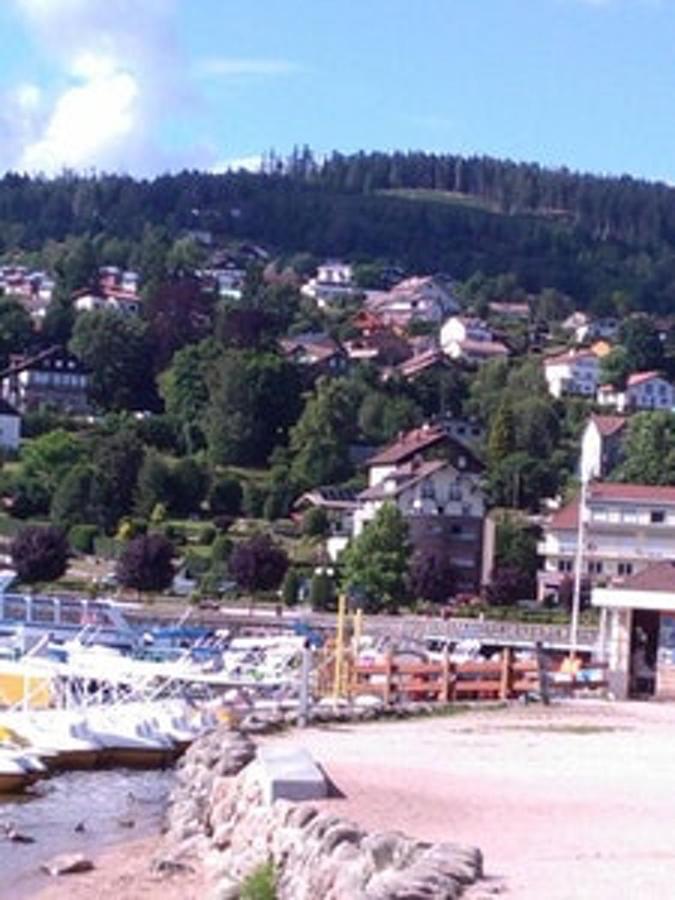 Studio Cosy Avec Vue Sur Lac Et Montagne A Gerardmer 30 M² Eksteriør billede