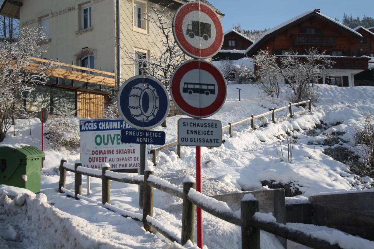 Studio Cosy Avec Vue Sur Lac Et Montagne A Gerardmer 30 M² Eksteriør billede